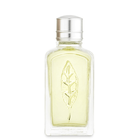 L'Occitane, L'Occitane Verbena Eau De Toilette, L'Occitane Verbena Eau De Toilette รีวิว, L'Occitane Verbena Eau De Toilette ราคา, L'Occitane Verbena Eau De Toilette Review, L'Occitane Verbena Eau De Toilette pantip, L'Occitane Verbena Eau De Toilette jeban, L'Occitane Verbena Eau De Toilette 10ml