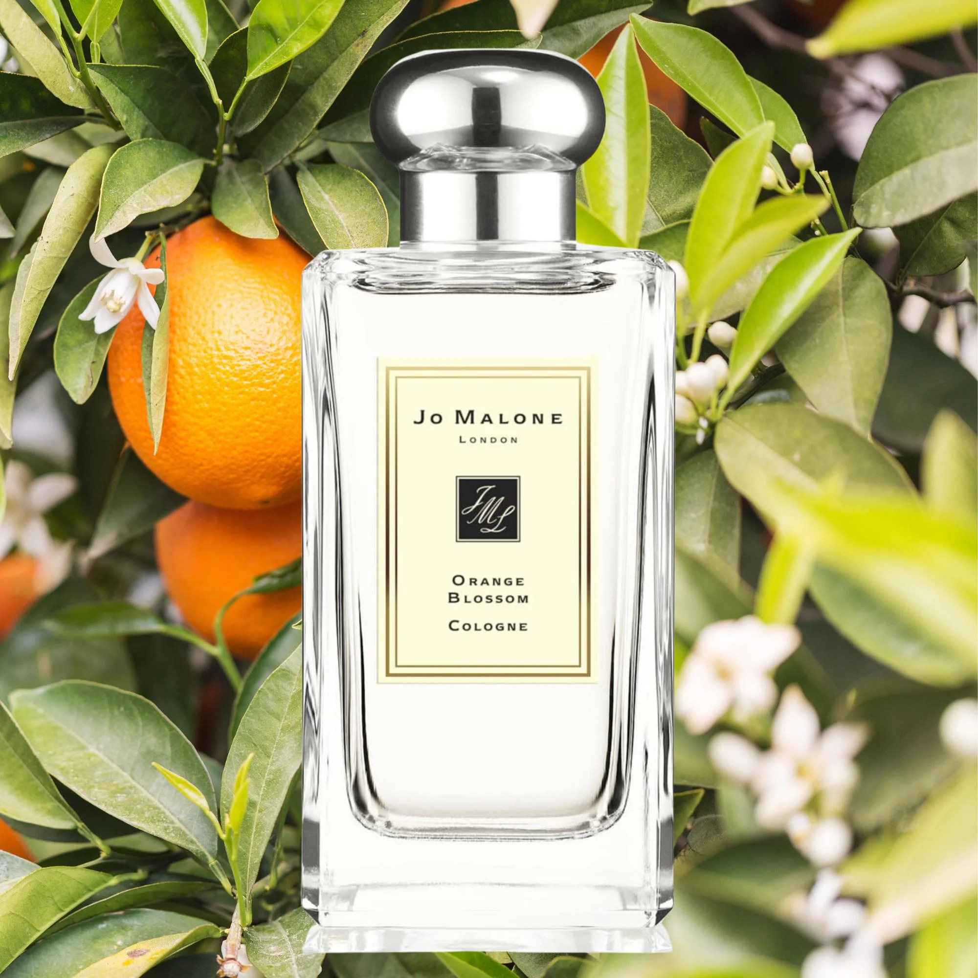 Orange Blossom Cologne 100 ml น้ำหอมกลิ่นดอกส้ม กลิ่นหอมราวกับประกายระยิบระยับจากสวนใจกลางโอเอซิส